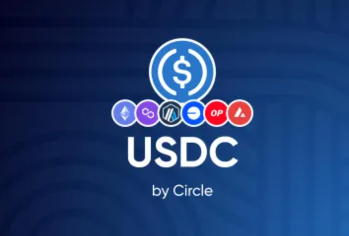 Wrapped USDC (wUSDC): A Stablecoin Bridge for Liquidity, Leverage, and Cross-Chain Markets